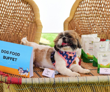 International Pet's Day: Pet Fed Bengaluru Edition 2026