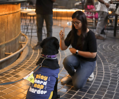 Bengaluru Pre Party To Pet Fed