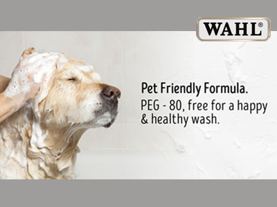 normal shampoo on dogs