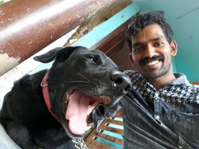 Three Accused Arrested for Torturing a Pet Dog, Bruno, to Death