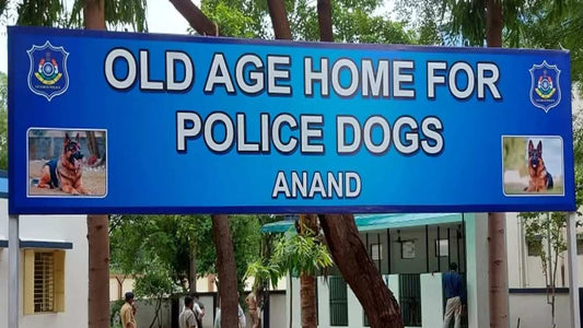 Gujarat Police to Open a Retirement Home for Police Dogs