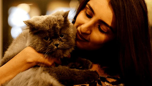 Bengaluru Kitty Bash Is Here!