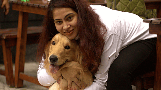 Delhi - It’s Raining Golden Retrievers in your City!