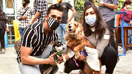 Delhi - Kickstart the Christmas Celebrations with your Doggos!