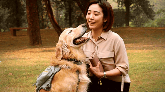 Delhi - Excited for some old-school fun with your Pups?