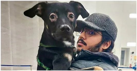 Indian Student and His Pet Malibu Made Their Way Home, after Being Airlifted