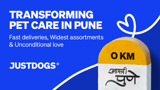 Transforming Pet Care in Pune: The JUSTDOGS Revolution