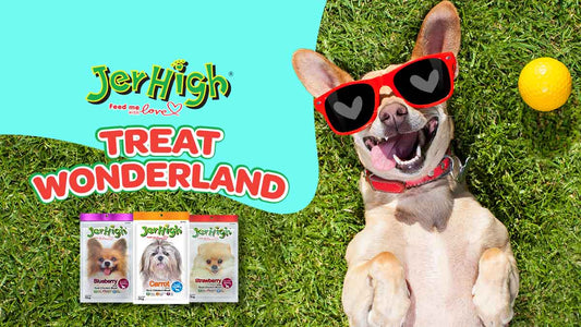 Step into JerHigh Wonderland at PetFed Mumbai, Paw First!