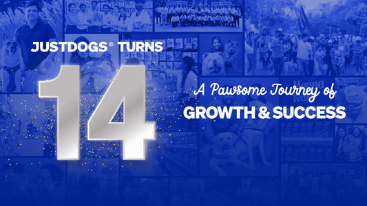 JUSTDOGS Turns 14: A Pawsome Journey of Growth and Success