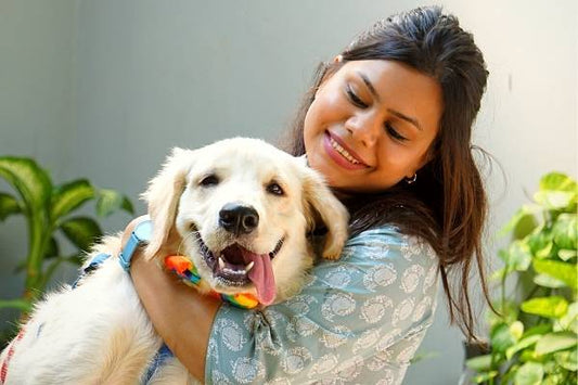 Pune - Time to Let Your Dogs Out!