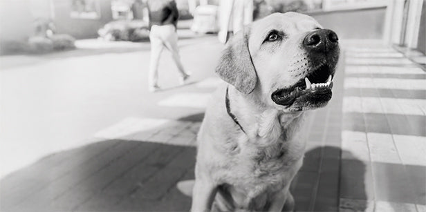 Behind Every Incredible Ability, There Are Unique Needs