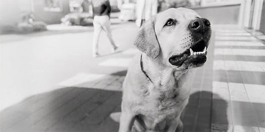 Behind Every Incredible Ability, There Are Unique Needs