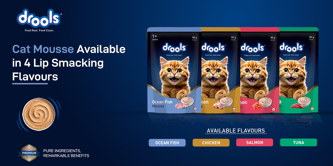 Cat Wet Food Benefits: Why Wet Food Is Good for Cats and How to Choose the Best