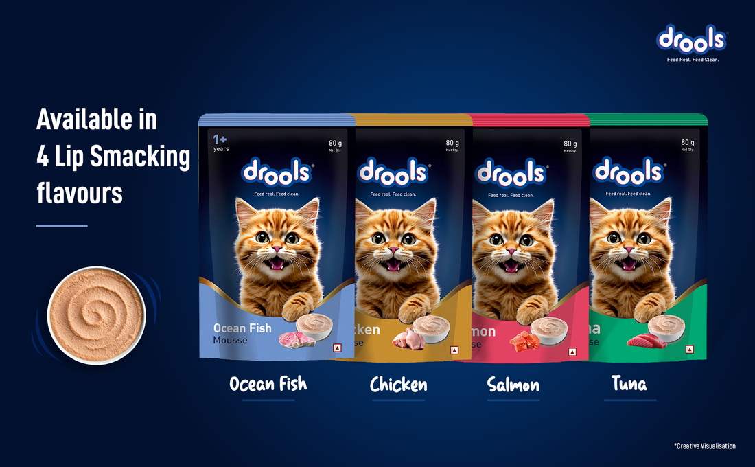 Cat Wet Food Benefits: Why Wet Food Is Good for Cats and How to Choose the Best