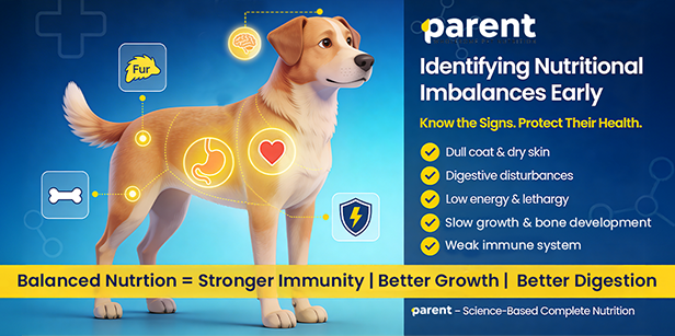 Identifying Nutritional Imbalances in Pets: Early Warning Signs