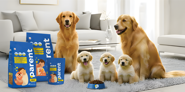 PARENT – WHOLESOME PET NUTRITION