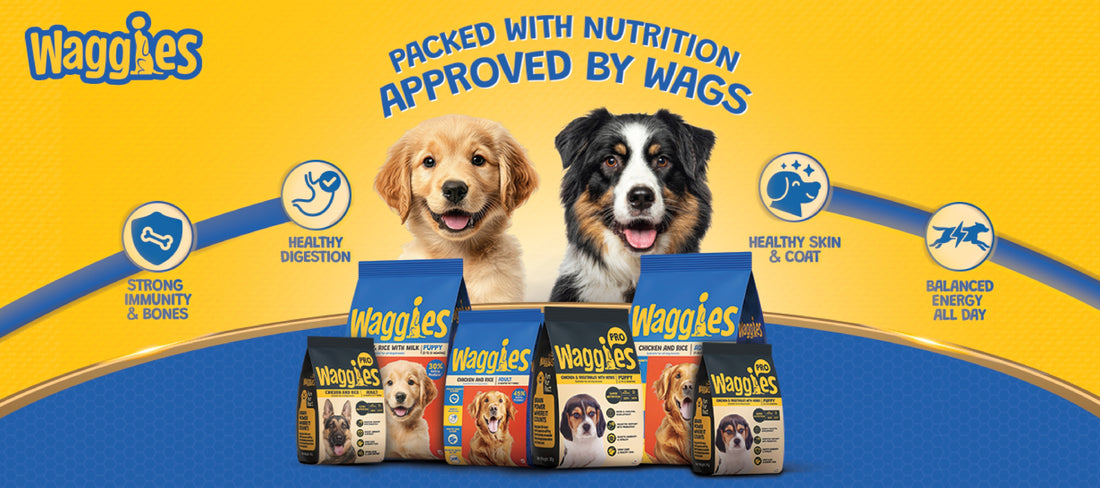 RCPL Unveils Waggies — A New Brand Committed to Democratizing Pet Nutrition in India