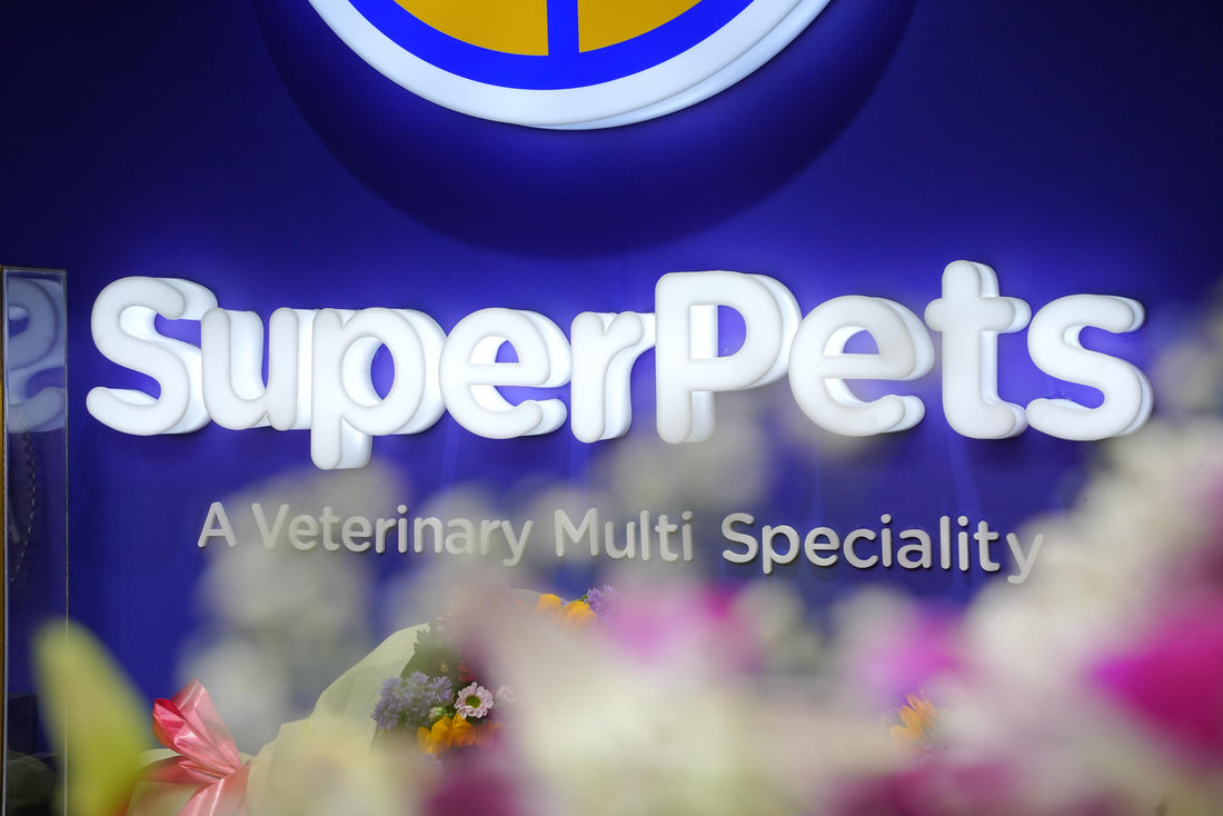 Advancements in Veterinary Science – Redefining Pet  Care at SuperPets