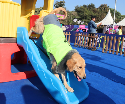 Pet Fed Pune 2025