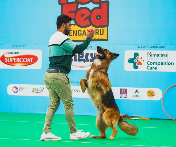 Pet Fed Bengaluru 2026