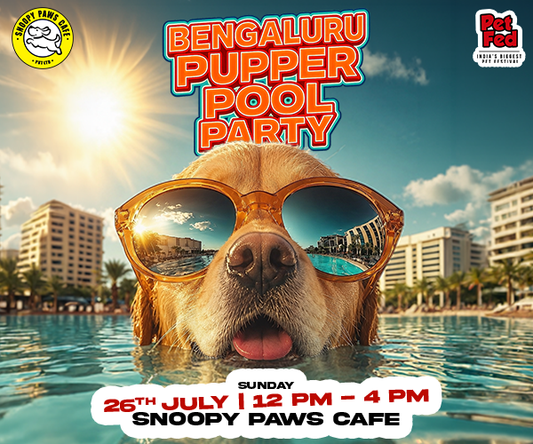 Bengaluru Pupper Pool Party 2026