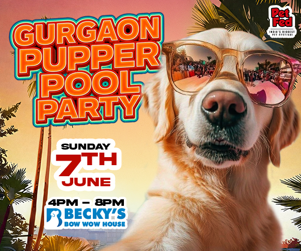 Gurgaon Pupper Pool Party 2026