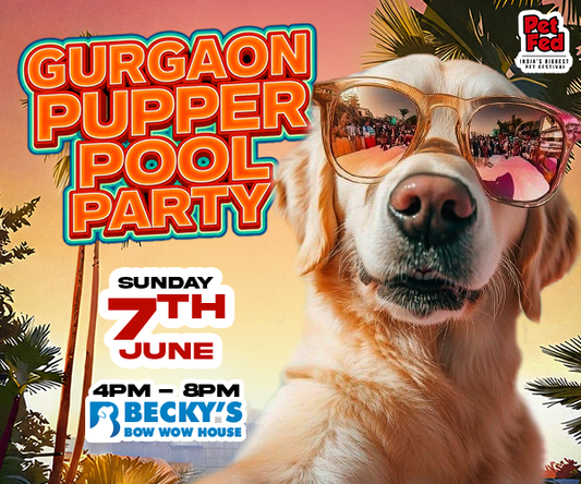Gurgaon Pupper Pool Party 2026