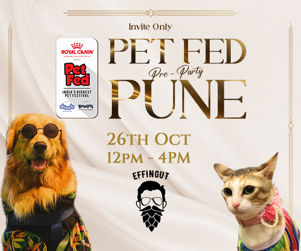 Pune Pre Party To Pet Fed 2025