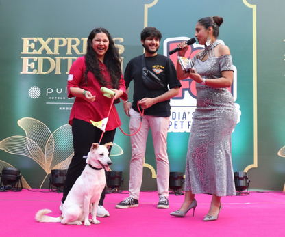 Pet Fed Summer Camp : Delhi Edition 2025