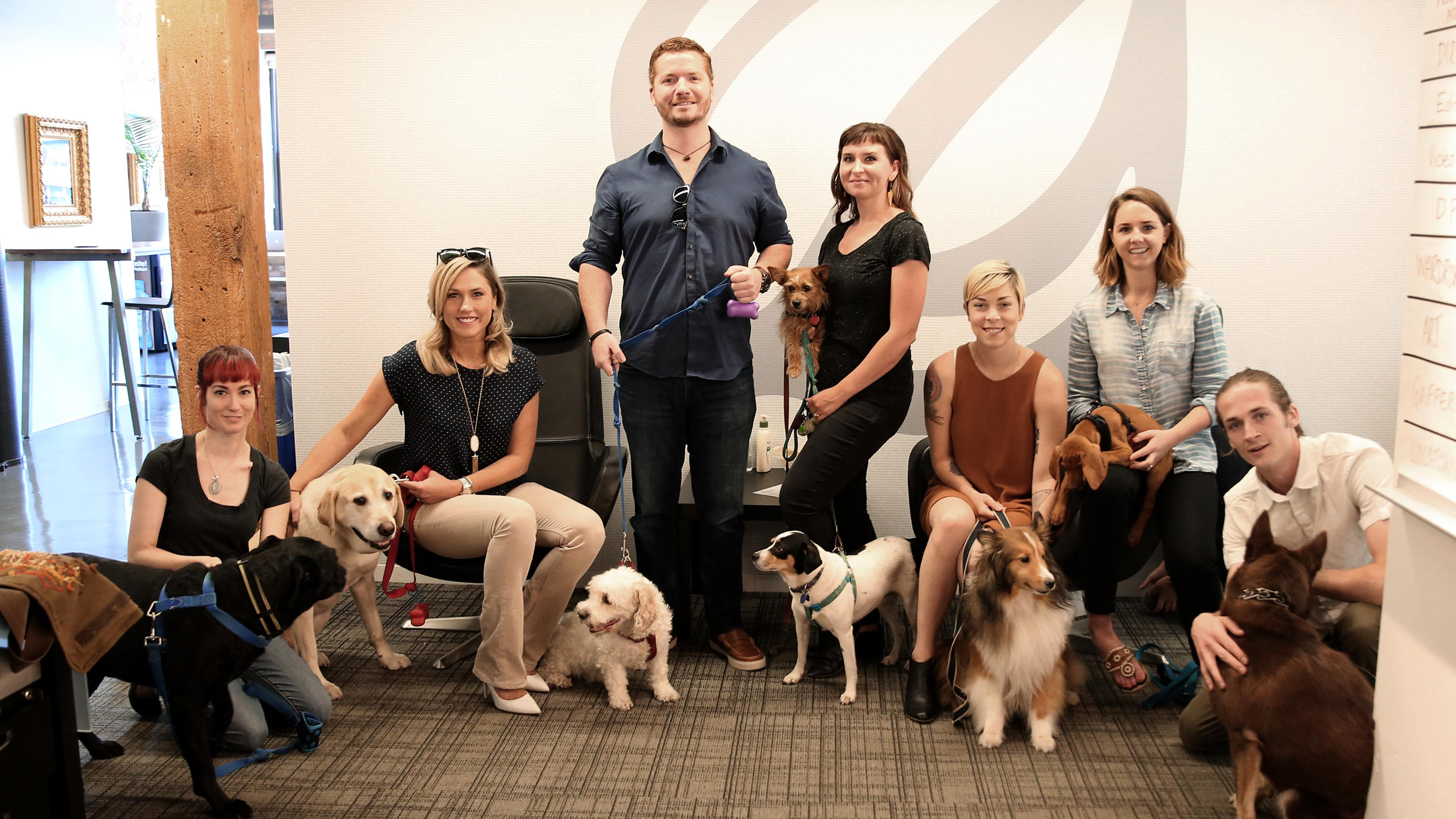 Top pets. #Purina Family. Purina better with Pets. Pets at work.